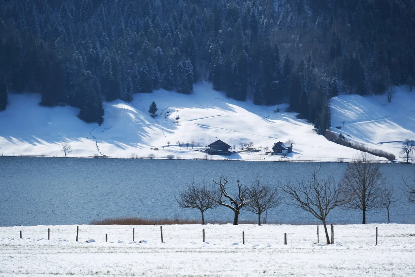 L'hiver au bord du Ägerisee.
