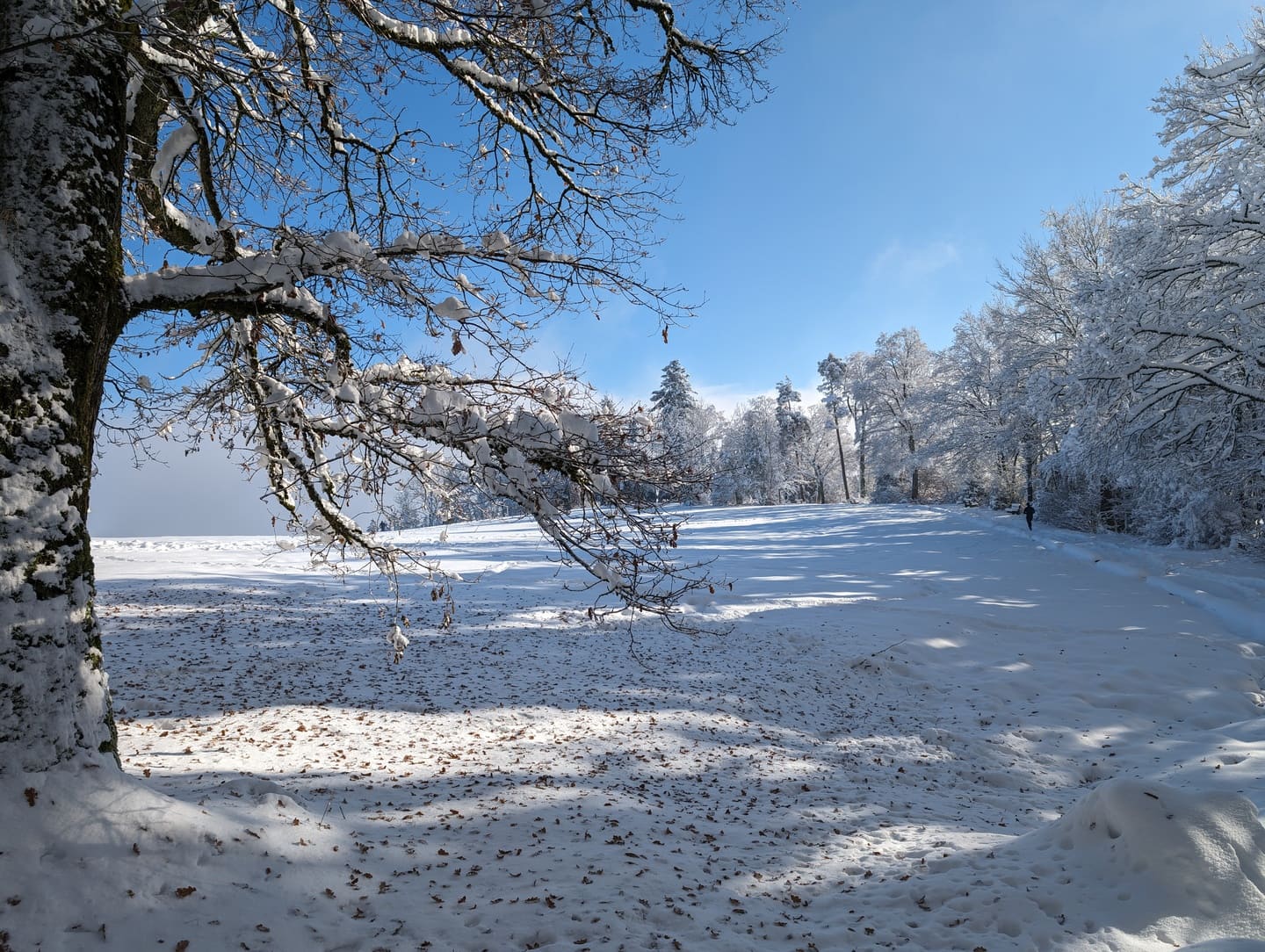 Una giornata di sole per una bella passeggiata nella neve.